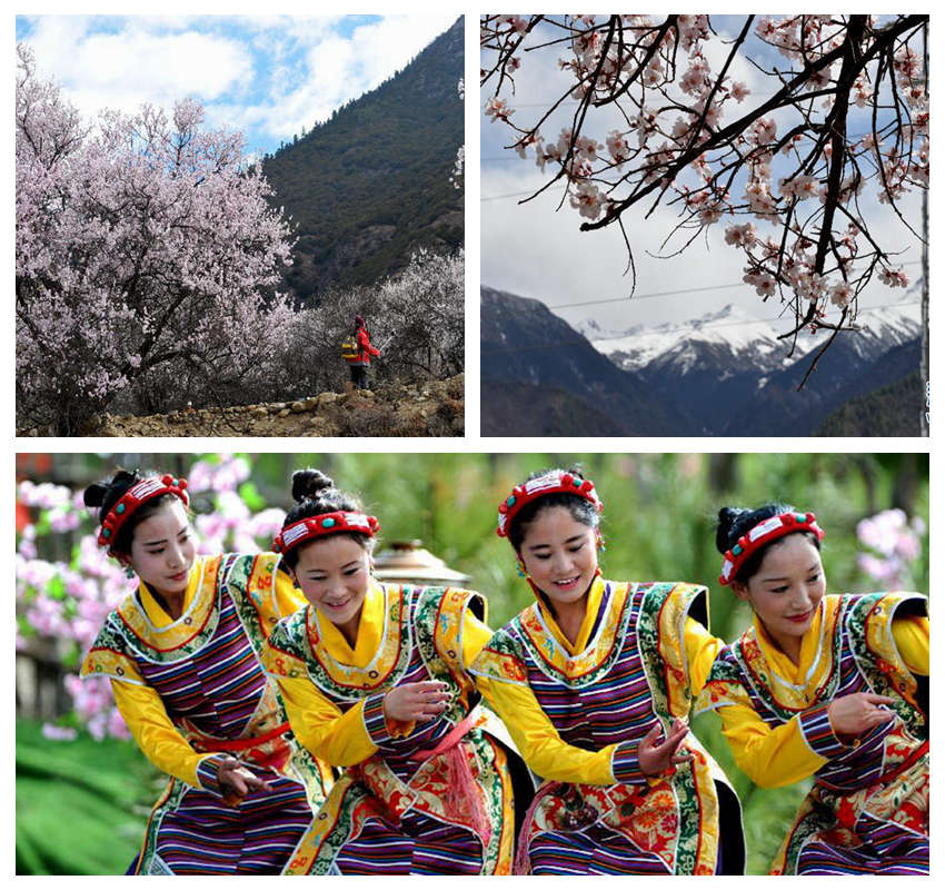 ?? ?? ???? ?? ‘?? ???? ????’