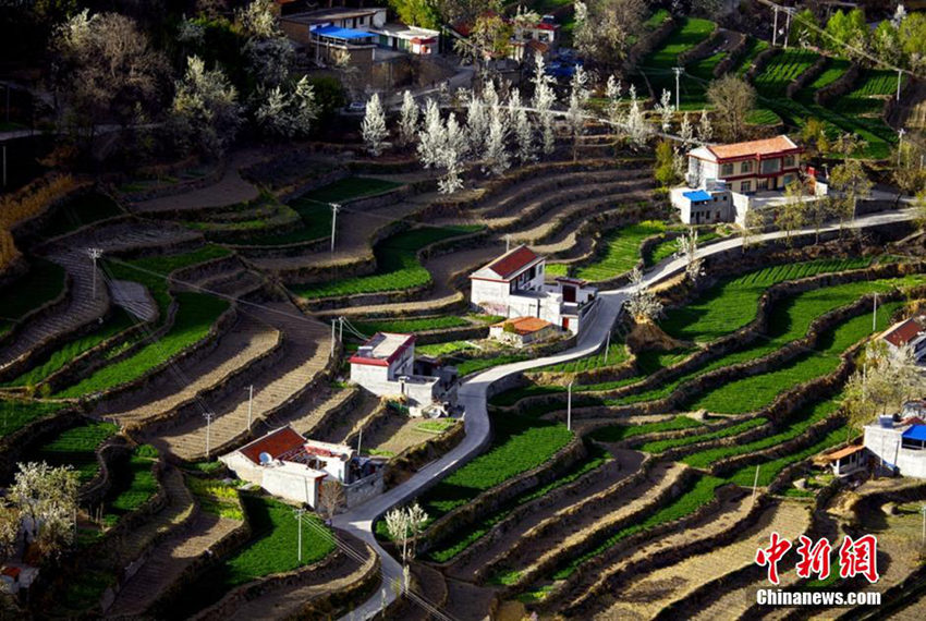 ?? ?? ???? ?? ??? ?? ??? ??