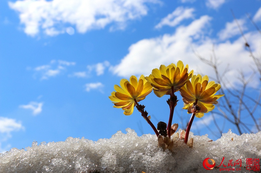 ????? ?? ??? ???? ???