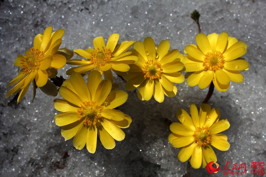 ????? ?? ??? ???? ???