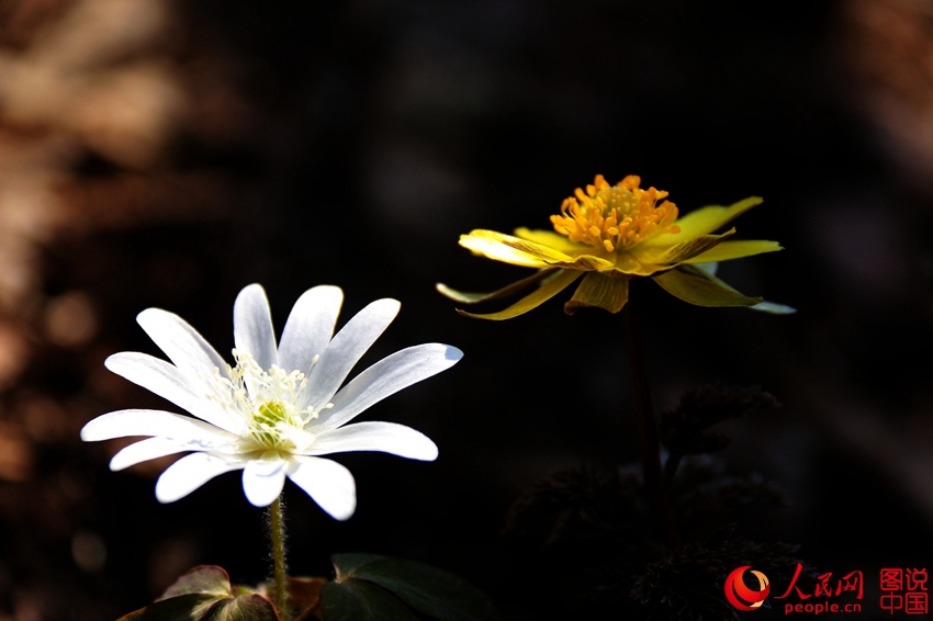 ????? ?? ??? ???? ???