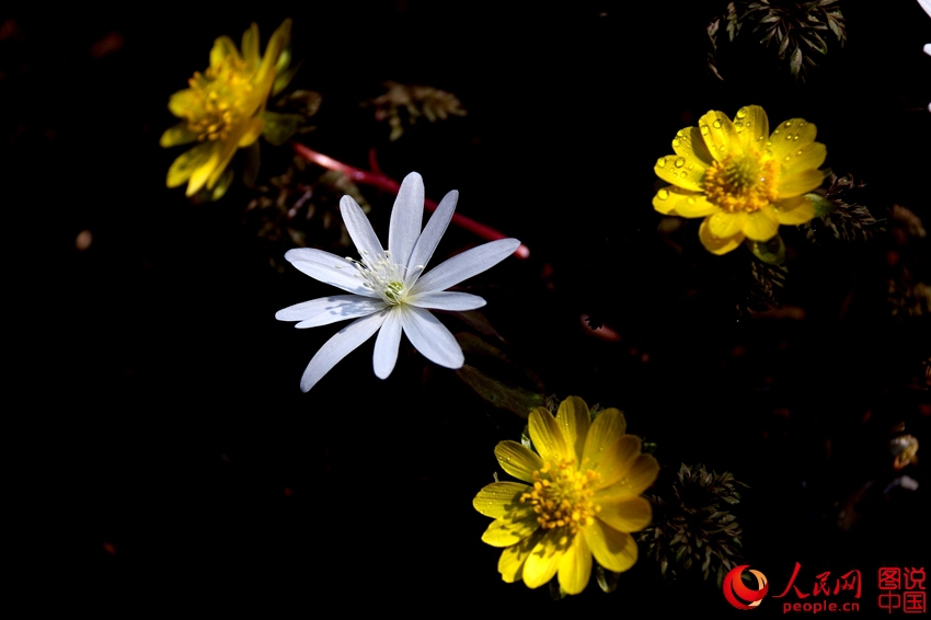 ????? ?? ??? ???? ???