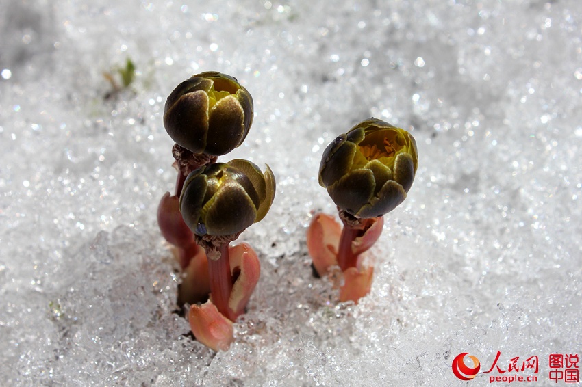 ????? ?? ??? ???? ???