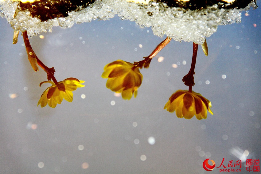 ????? ?? ??? ???? ???