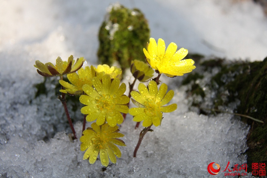 ????? ?? ??? ???? ???