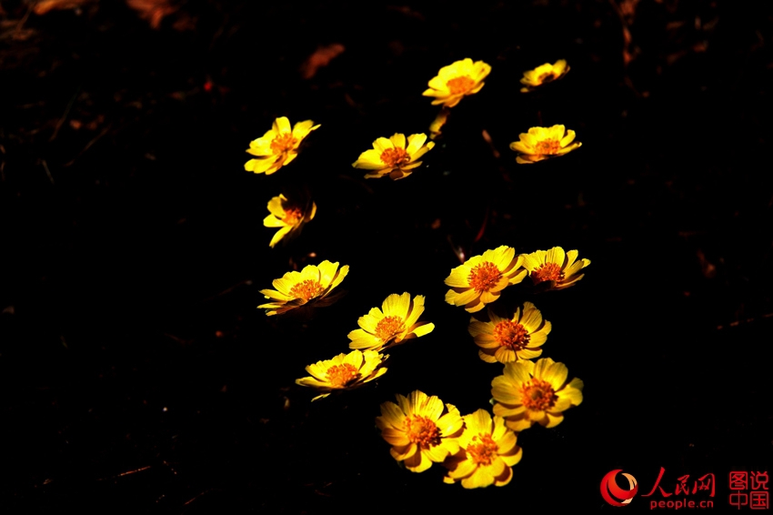 ????? ?? ??? ???? ???