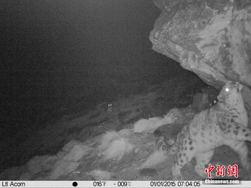 ?? ????, ???? ??? ?? ?? ?? 