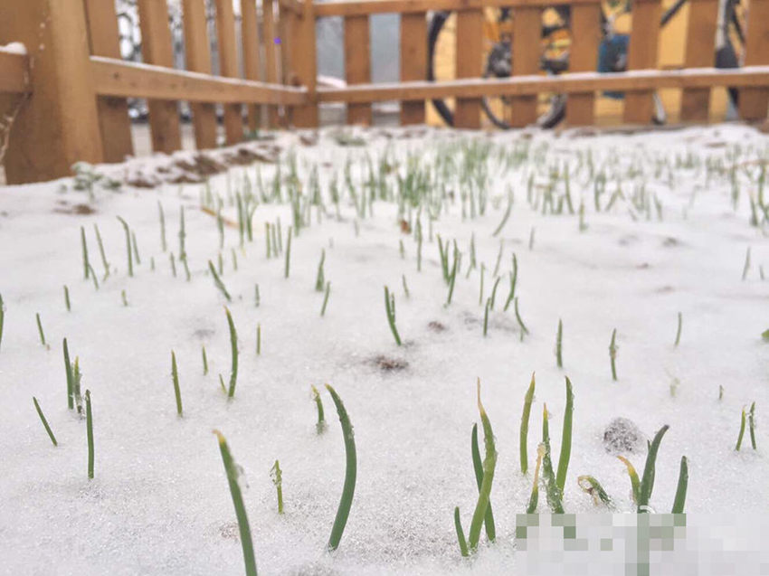 ??? ??? ?? ?? ‘4? ?’ ??… ?? ‘?? ??’