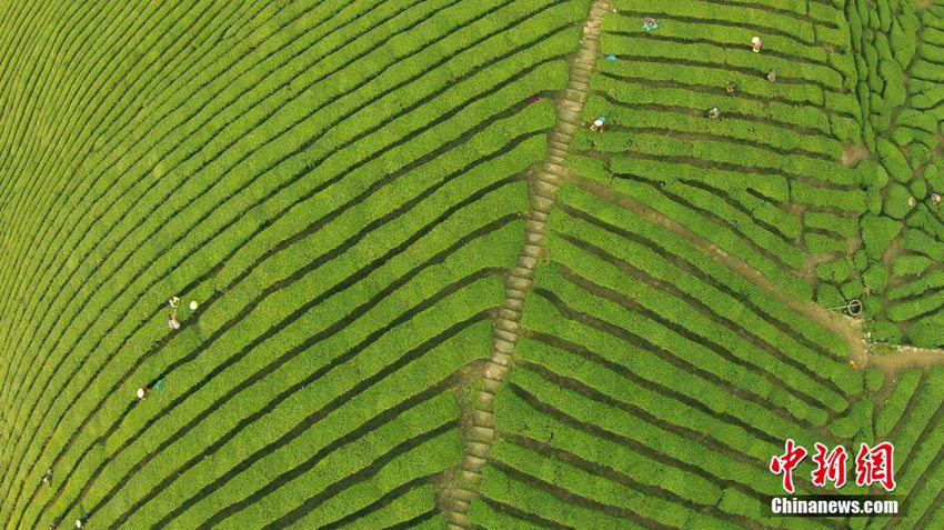 中?? ??, ??? ? ?? ??? ??? ??