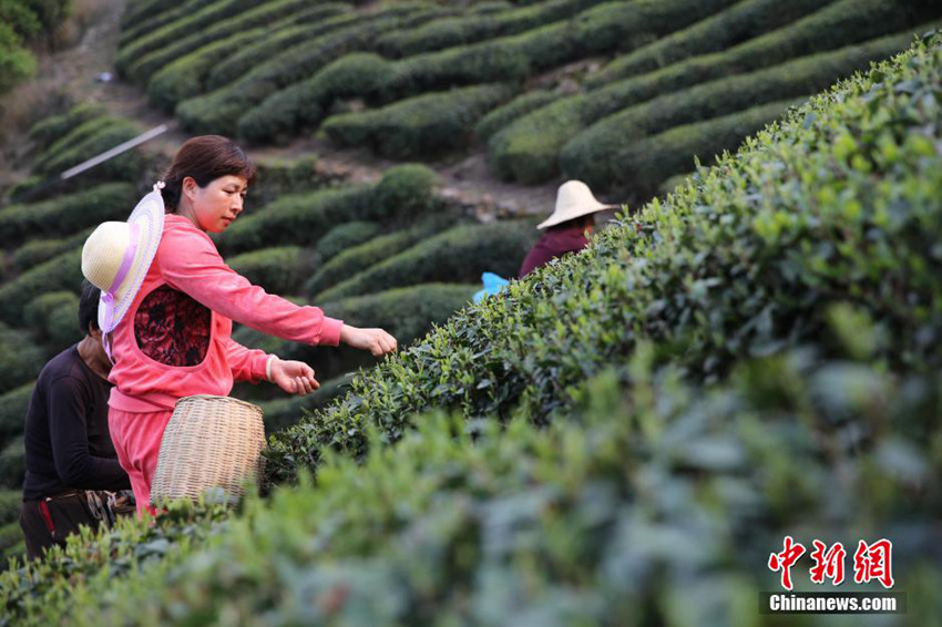 中?? ??, ??? ? ?? ??? ??? ??