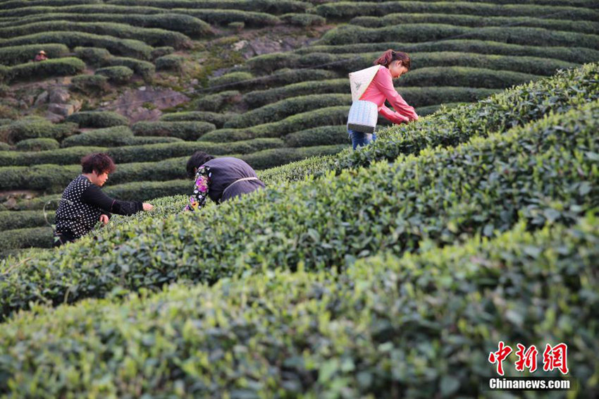 中?? ??, ??? ? ?? ??? ??? ??