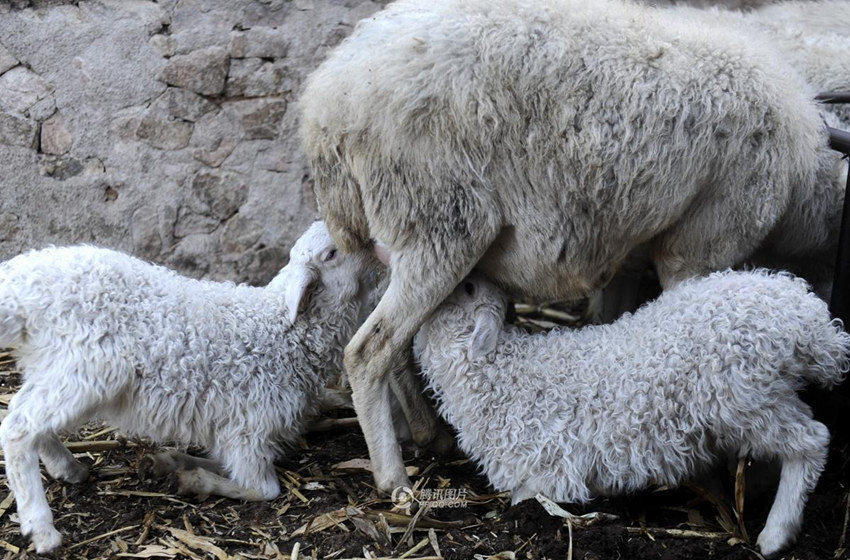 ??? ??? ?? ????? ???