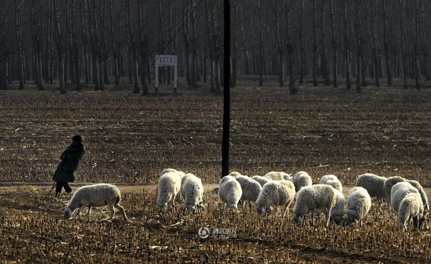 ??? ??? ?? ????? ???