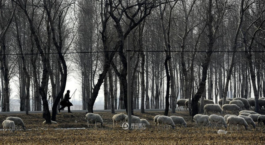 ??? ??? ?? ????? ???