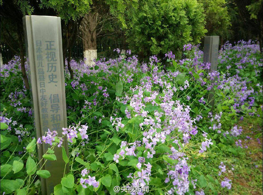 日???, ????? ?? ????…??? 30??