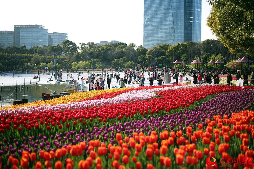 ??? ??(大寧)? ????, ???? ??? ? ??