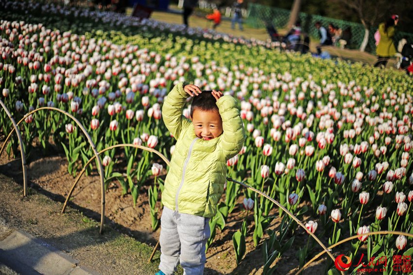 ??? ??(大寧)? ????, ???? ??? ? ??