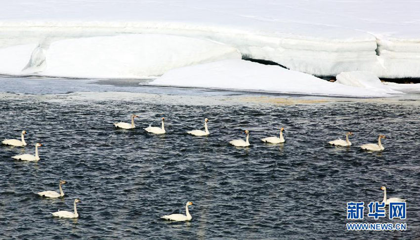 ?? ?????? ?? 100? ??? ???