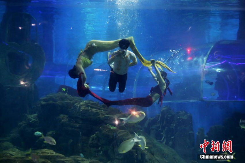 ?? ???? ??? ??, ???? ?? ??