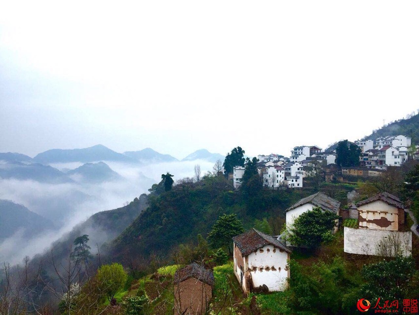 ?? ?(朱)? ?? ‘???? ??’ ?? ??