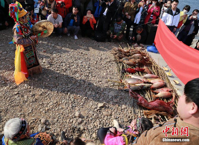 ???? ??? ??? ??? ???? ????