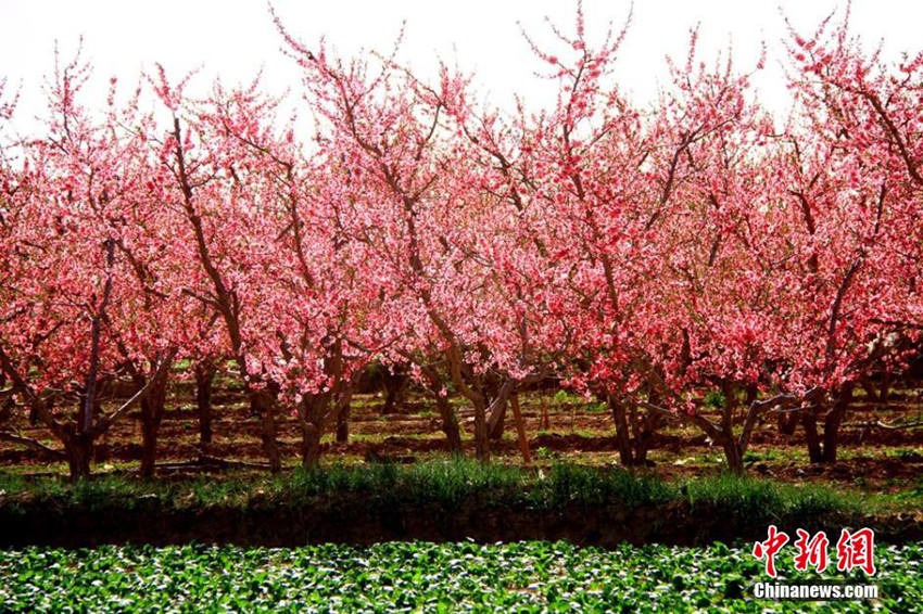 ??(祁連)? ?? ??? ??? ?… ?? ??