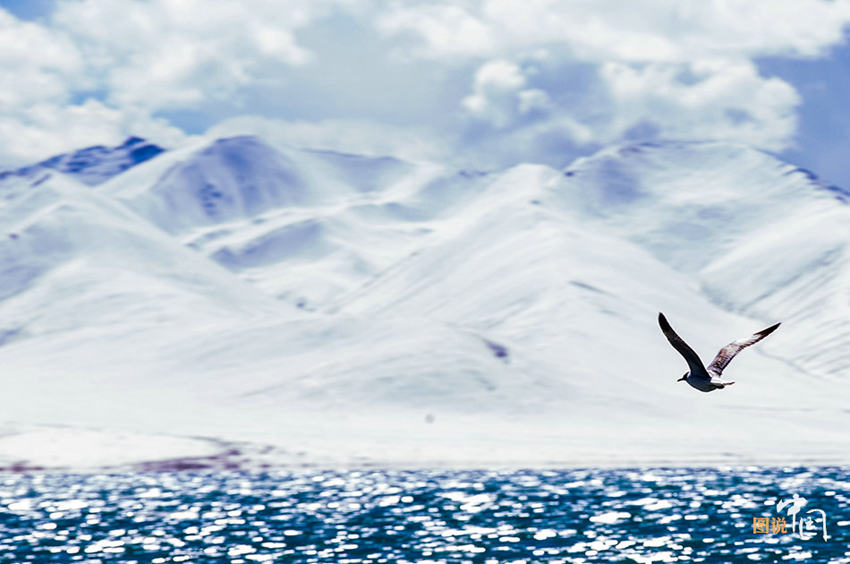 ‘?? ??’ ?? ???, ?? ? ?? ??