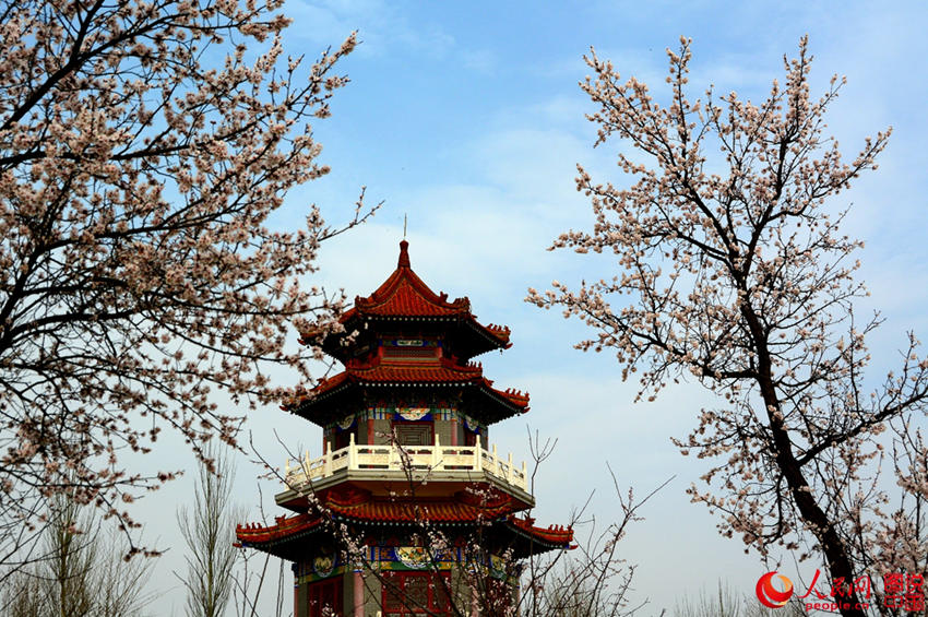 ??? ??? ??? ???? ??? ?? ??