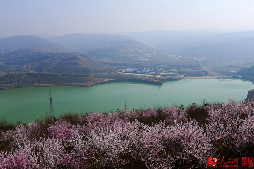 ??? ??? ??? ???? ??? ?? ??