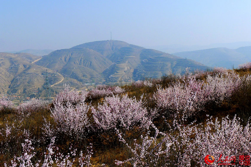 ??? ??? ??? ???? ??? ?? ??