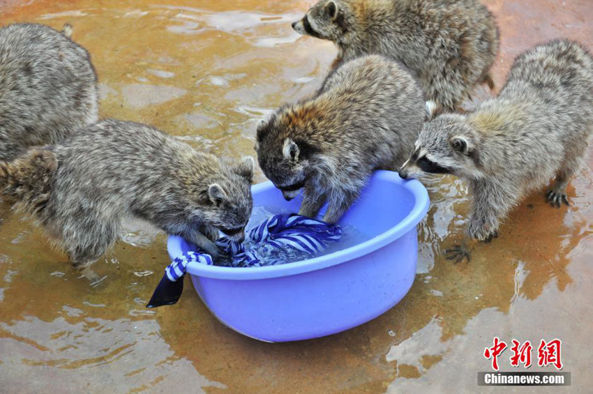 ??? ??, ????? ?? ?? ?????  