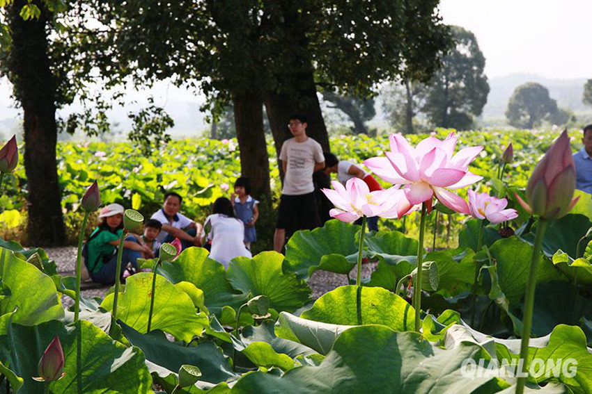 ?? 1? ?? ??, ?? ? ???? ‘????'