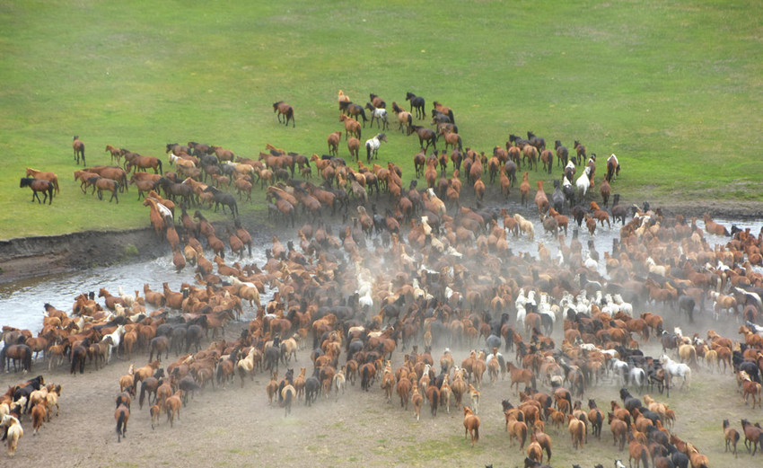 ???? ????? '?? ??', ???? ?? ??