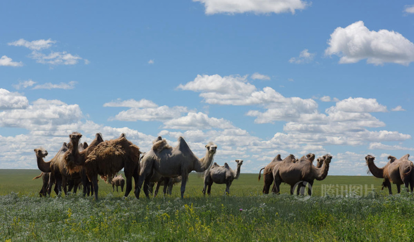 ???? ????? '?? ??', ???? ?? ??