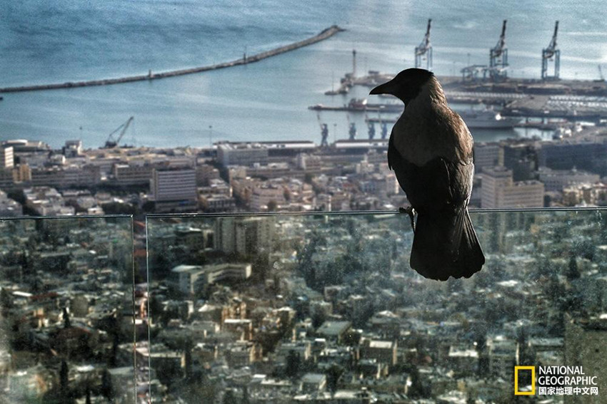 ‘??? ?????'????? ??? 6? ?? ‘??'