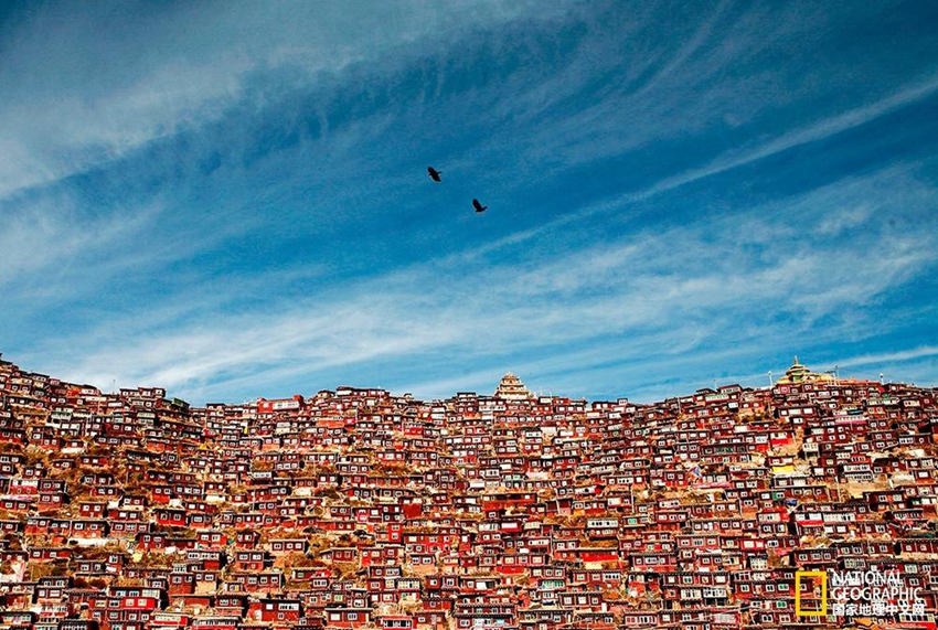 ‘??? ?????'????? ??? 6? ?? ‘??'