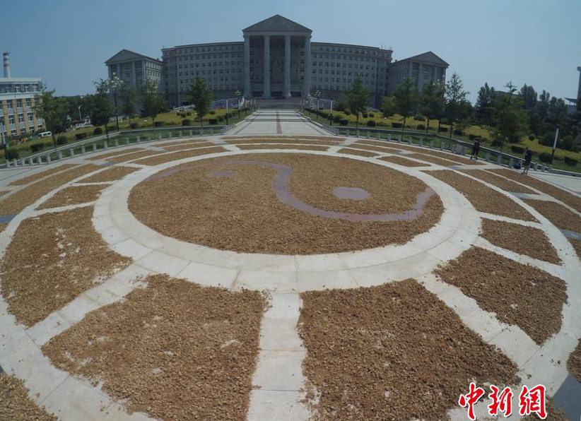 ??? ? ???? ???? ???, ?? ?? ??