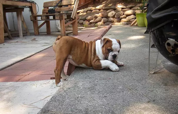 ?? ???? ?? ??, '??? ??'