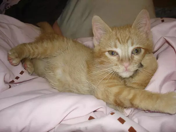 ?? ???? ?? ??, '??? ??'