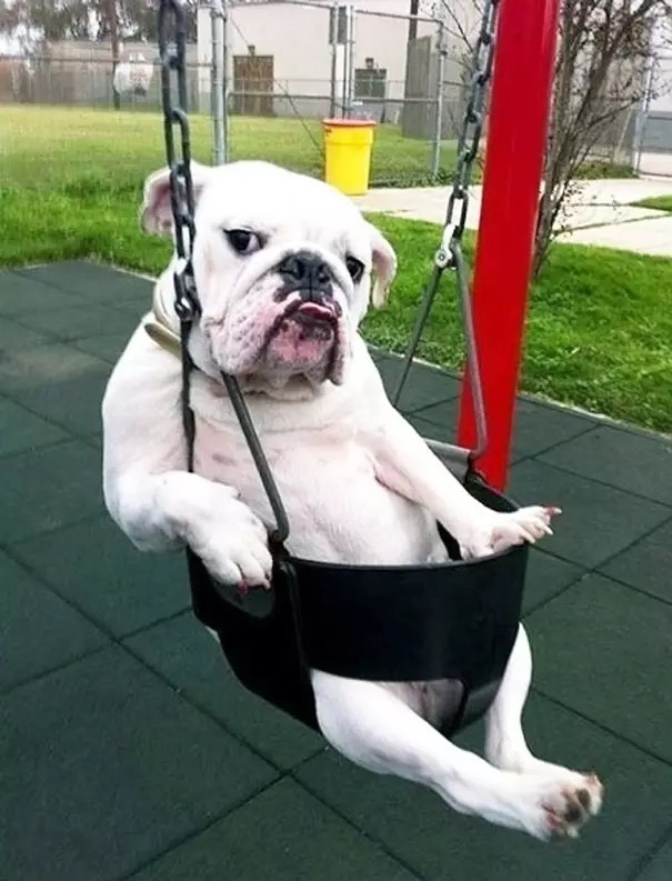 ?? ???? ?? ??, '??? ??'