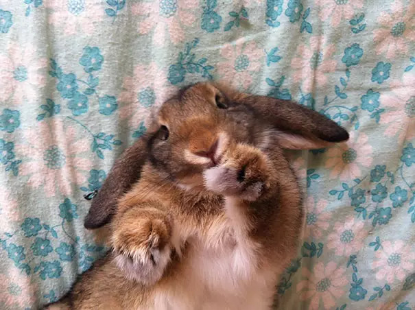 ?? ???? ?? ??, '??? ??'