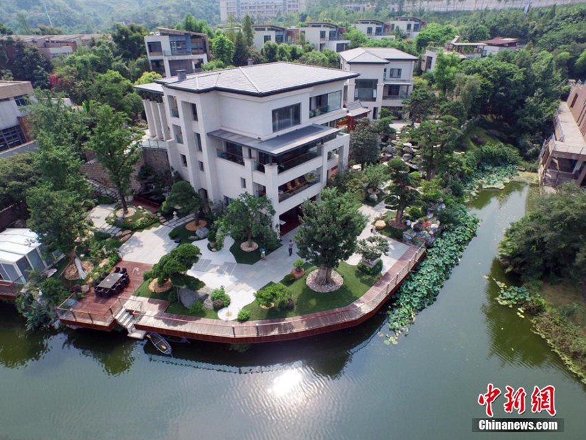 ?? ?? 800? ?? ?? ????, ‘?????’