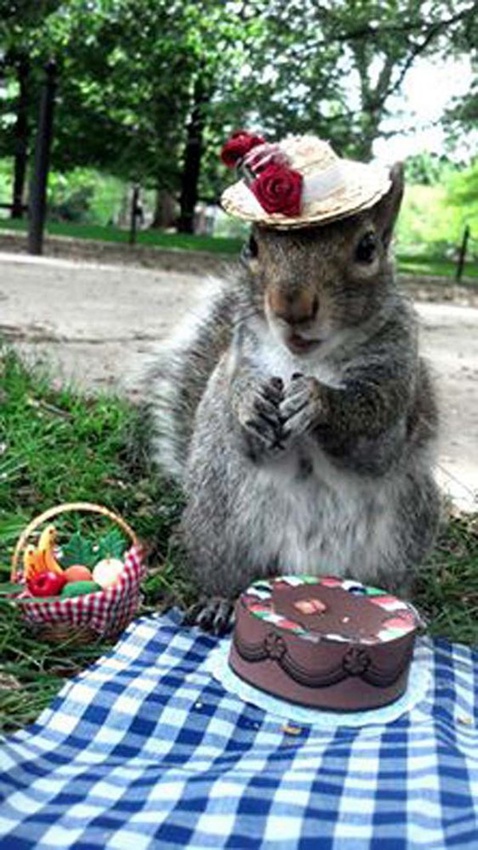 ??? ??? ?? ????? ??...‘?? ??’