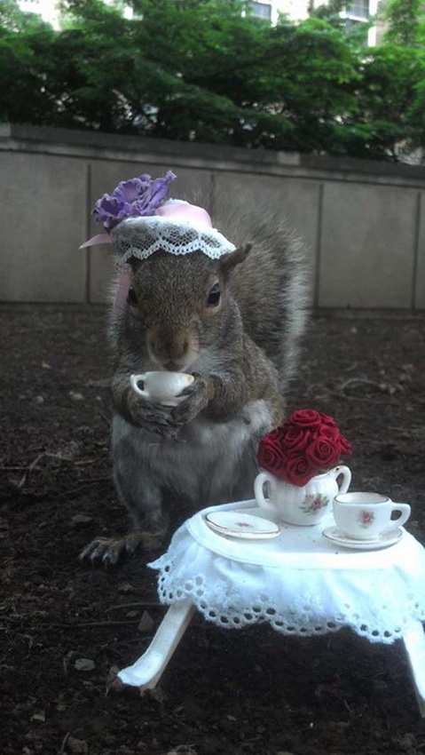 ??? ??? ?? ????? ??...‘?? ??’