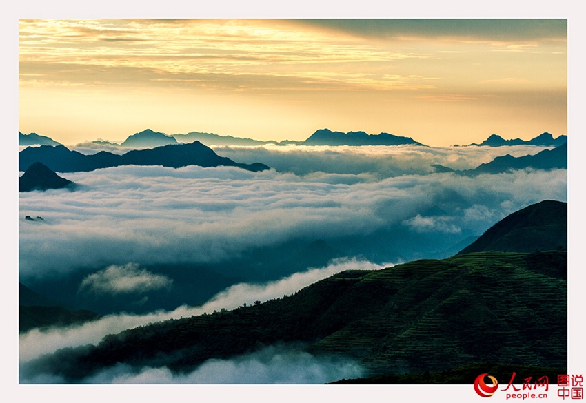 ??? ??…?? ??? ??? ??? ??