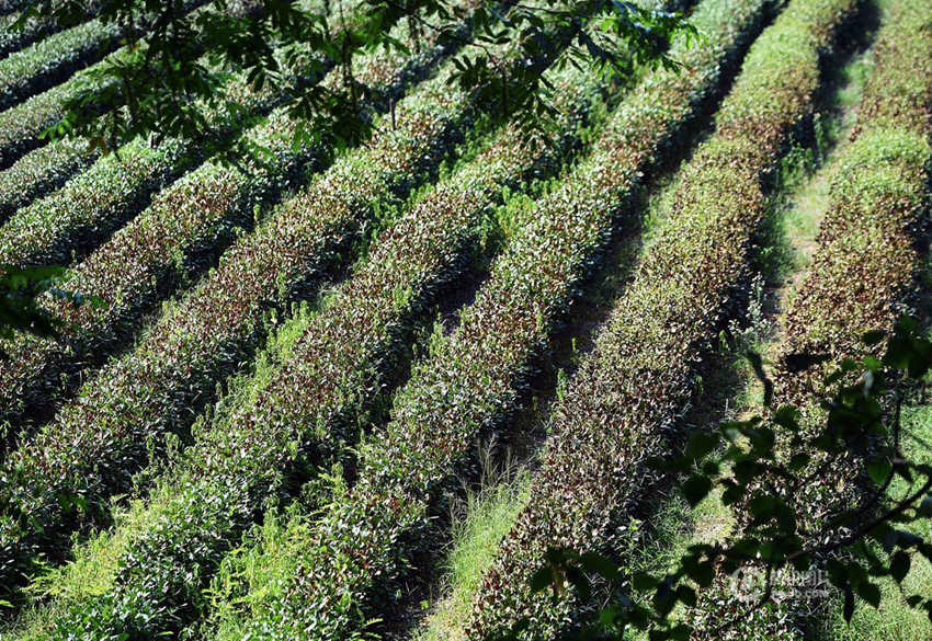 ?? ??? ??? ?? ? ??? ???