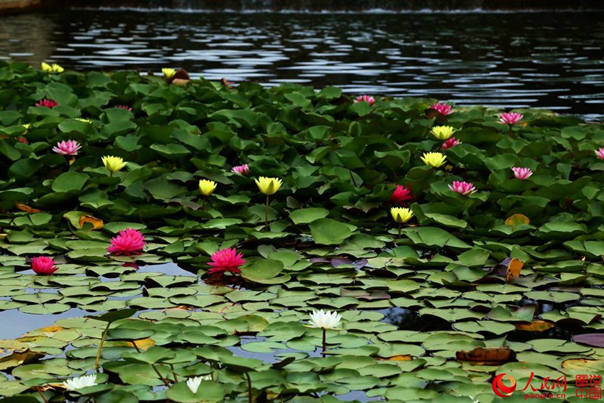 ????? ?? ?? ??…?? ??? ?? ??