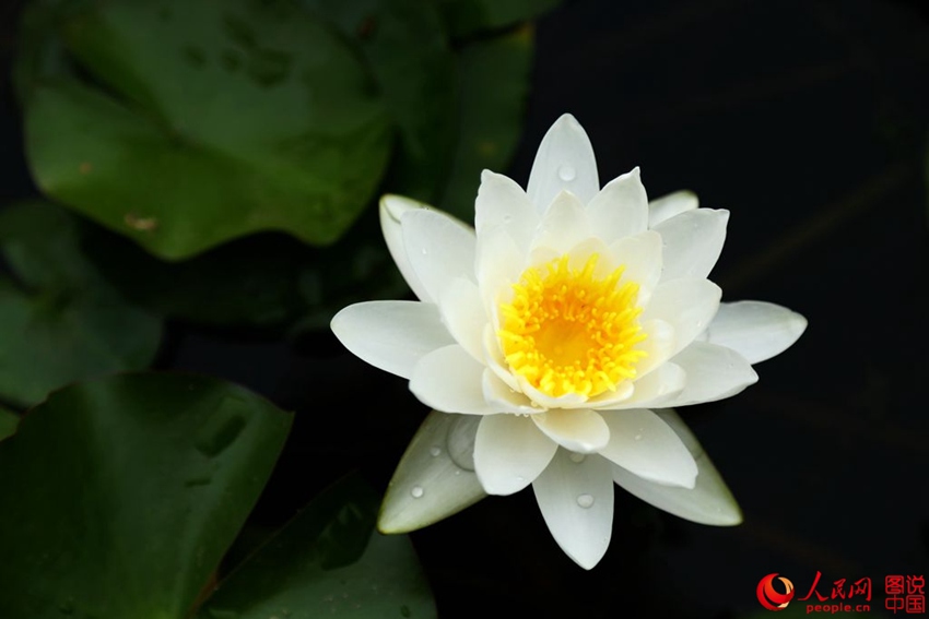 ????? ?? ?? ??…?? ??? ?? ??