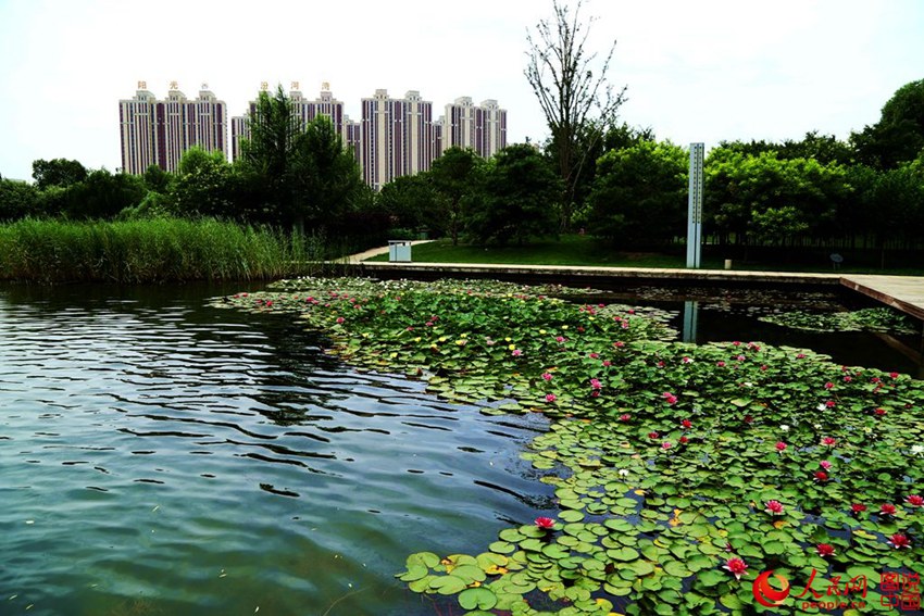 ????? ?? ?? ??…?? ??? ?? ??