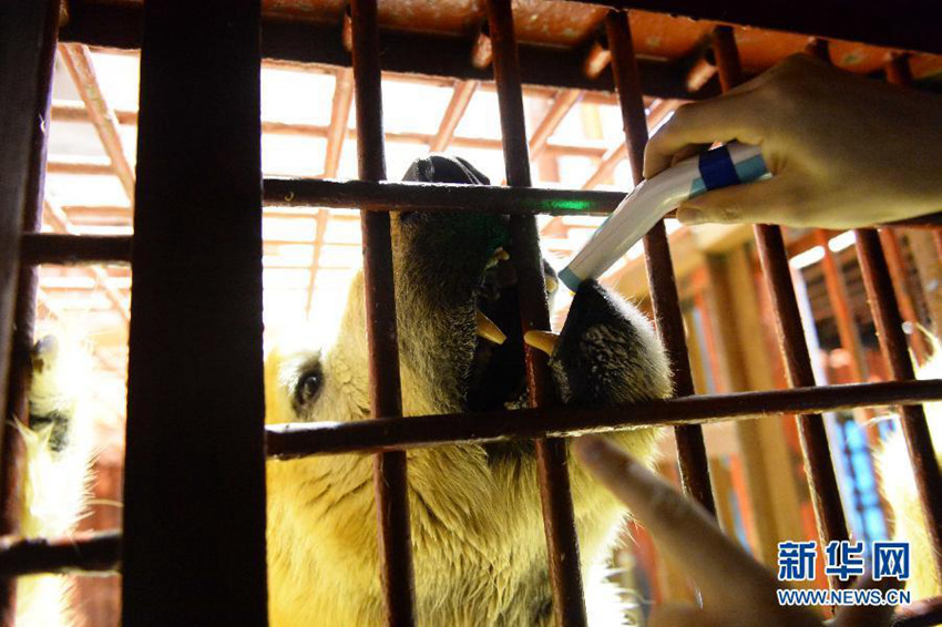 ???? ?? ??? ???? ??? ??? ???